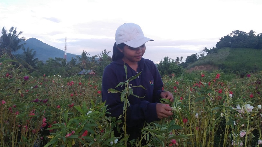 Tatkala.co