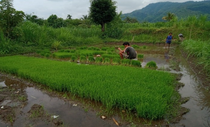 Tatkala.co