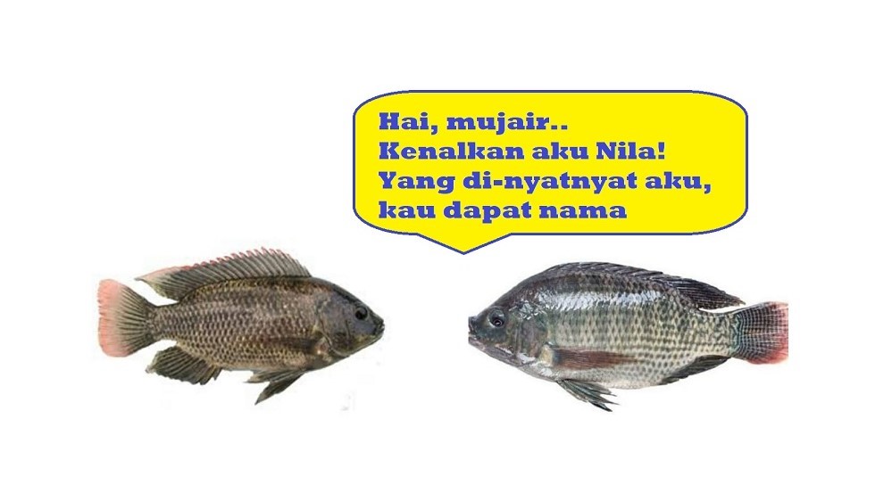 Tatkala.co
