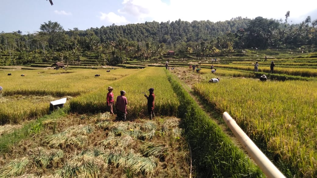 Tatkala.co