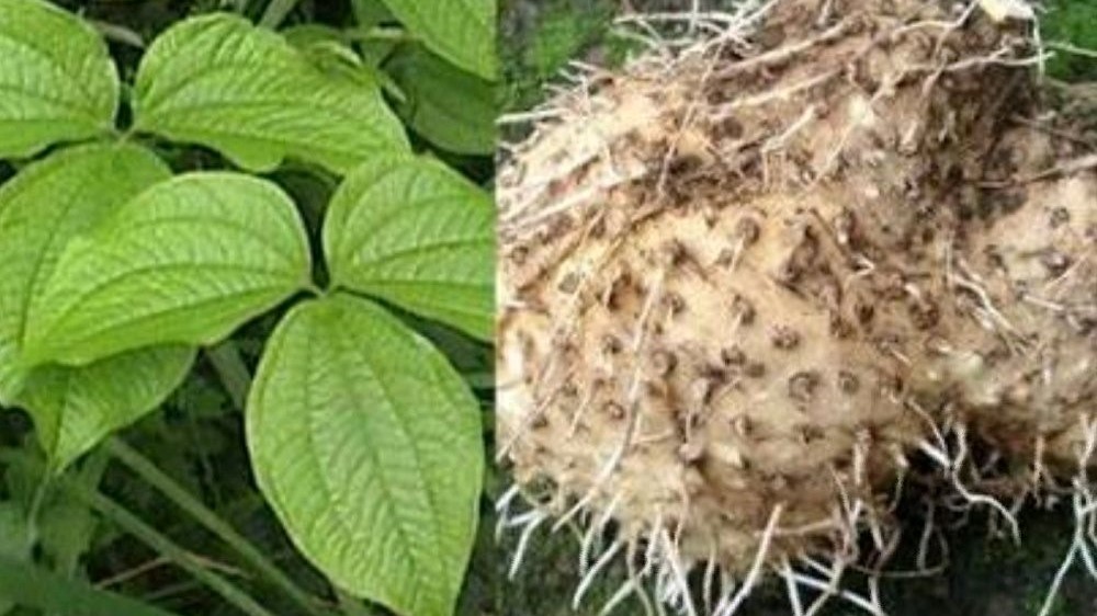 Tatkala.co