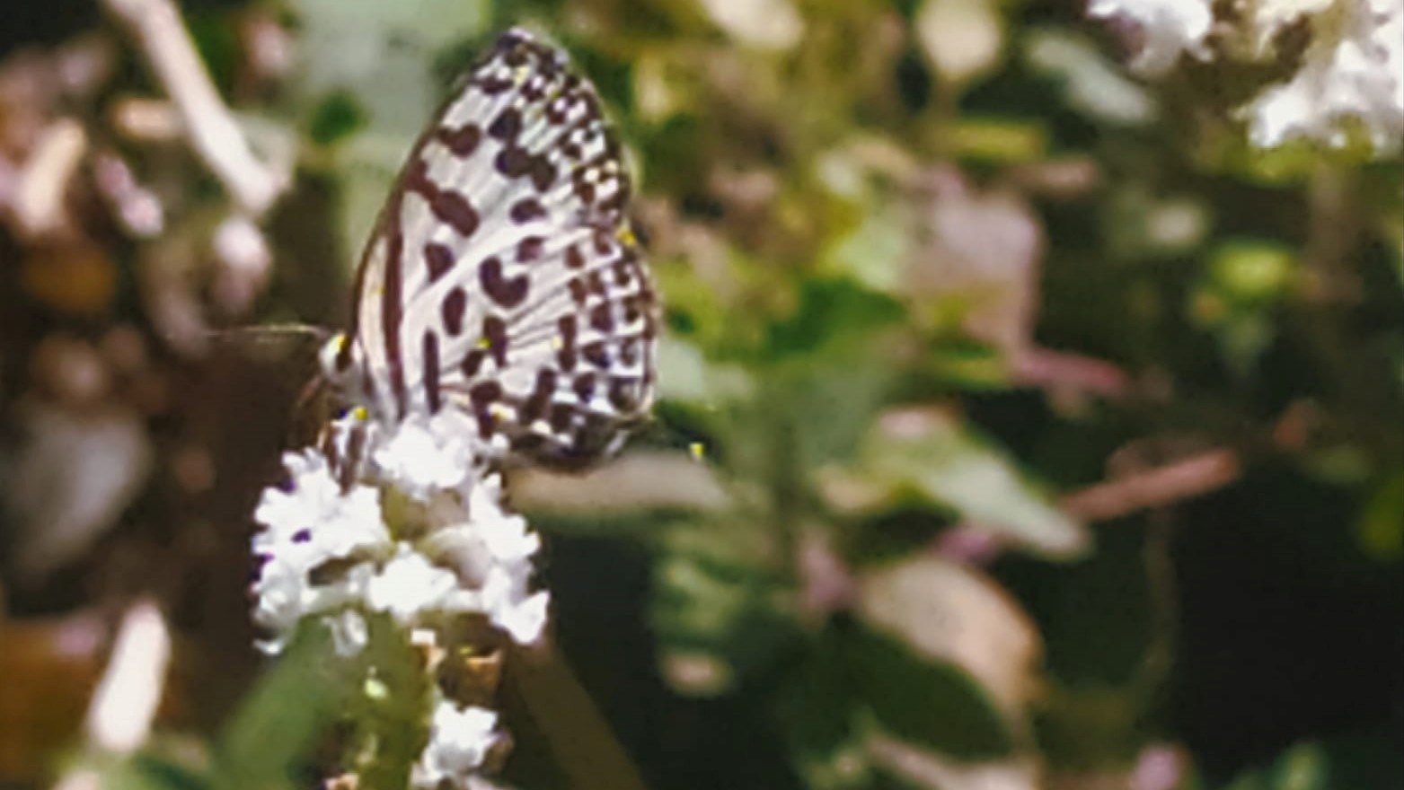 Tatkala.co