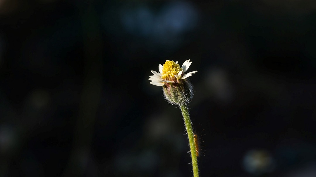 Tatkala.co