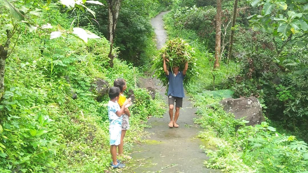 Tatkala.co
