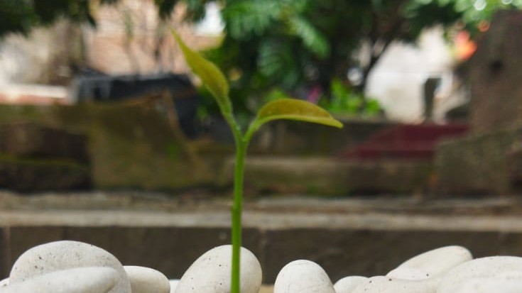 Tatkala.co