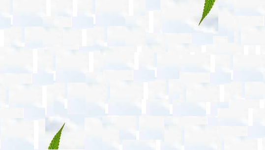 Tatkala.co