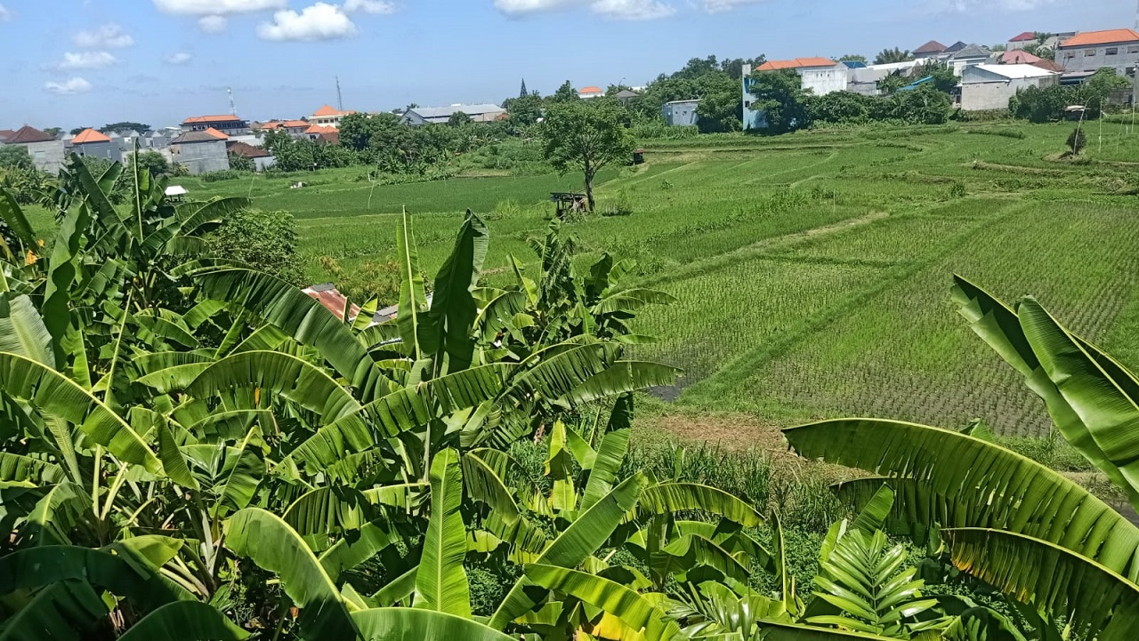 Tatkala.co