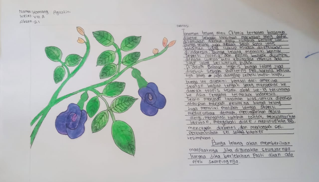 Tatkala.co