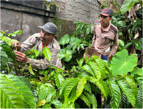 Tatkala.co